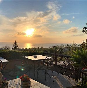 La Terrazzina sul tramonto Bed and Breakfast Ischia Island Exterior photo