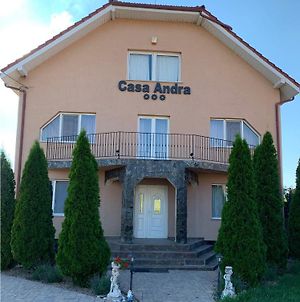 Casa Andra Ostello Satu-Mare Exterior photo
