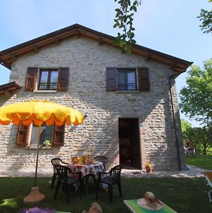 Country House With Pool At 700 Meters Cycling And Walking Opportunities Villa Apecchio Exterior photo