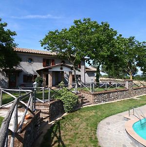 Farmhouse With Pool In An Area With History Nature And Art Villa Bagnoregio Exterior photo