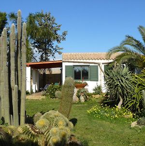 Casa vacanza nella riserva naturale del Belice Villa Castelvetrano Exterior photo
