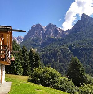 The "Small" Maso Raris Alpine Chalet & Dolomites Retreat Villa San Martino Di Castrozza Exterior photo