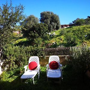 Sunny Garden House Villa Villasimius Exterior photo