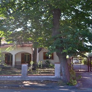 I Tigli Villa Casalbordino Exterior photo