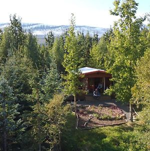 Bakkakot 1 - Cozy Cabins In The Woods Villa Akureyri Exterior photo