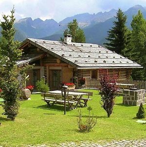 Apartment In A Typical Baita In The Dolomites With Sauna And Turkish Bath Bellamonte Exterior photo