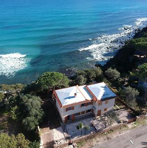 VILLA SITZIA- Ampia villa sul mare Cala Liberotto Exterior photo