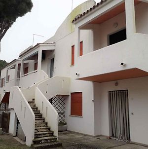 Apartments In Rosolina Mare 24940 Exterior photo