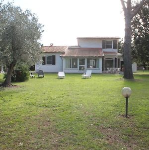 Villa la Respigola Donoratico Exterior photo