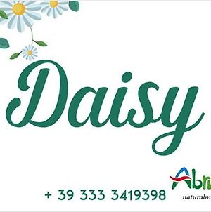 Daisy Hotel Pescara Exterior photo