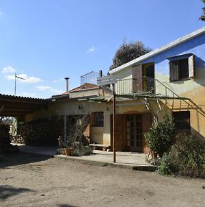 Agriturismo Poggio Ferrata Villa Ruvo di Puglia Exterior photo