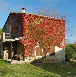 Silence And Relaxation In The Woods Of Umbria Appartamento Porchiano  Exterior photo