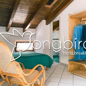Songbird Bed and Breakfast Agerola Exterior photo
