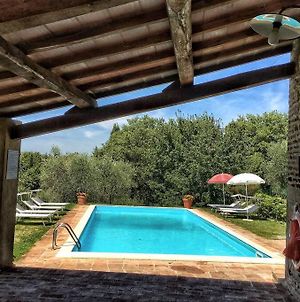 Il Tribbio vicino al paese piscina,oliveto,WiFi Villa San Giovanni dʼAsso Exterior photo