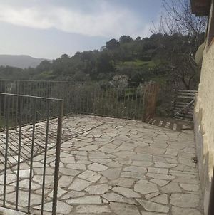 Shepherds House In A Rural Area In Nuoro N 54 Villa Exterior photo
