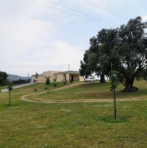 Sa Tanca Villa Siniscola Exterior photo