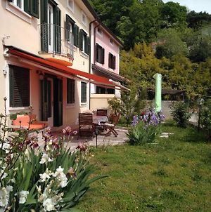 Alle rose barcolane Bed and Breakfast Trieste Exterior photo