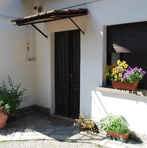 La casetta del nonno Giampi Villa Sesto Calende Exterior photo