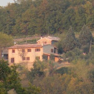 Panoramic Farmhouse With Swimming Pool Villa Chioano Exterior photo