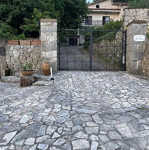 Villa Palmina Castelnuovo Parano Exterior photo