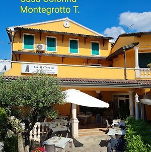 Casa Colonna Appartamento Montegrotto Terme Exterior photo