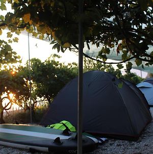 Camping Jungle In Borsh Hotel Exterior photo