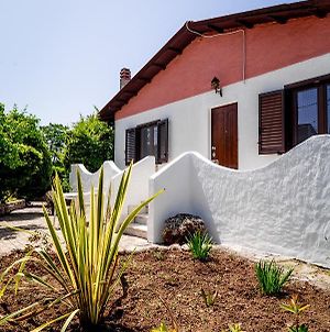 Casa Vacanze - Residenza San Luca Muro Lucano Exterior photo