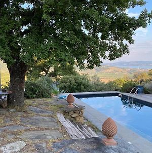 casa intera giardino e piscina Villa Tuoro sul Trasimeno Exterior photo