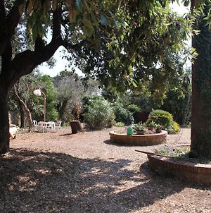 Casale con accesso mare, grande giardino e basket Villa Rosignano Marittimo Exterior photo