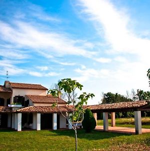 La Prediletta Country House Villa Rapino Exterior photo
