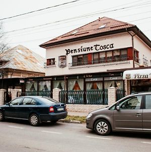 Pensiune Turistica Tosca Bacău Exterior photo