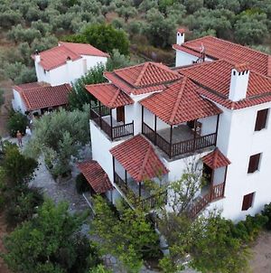 Marlitsis Apartments & Studios Città di Skopelos Exterior photo