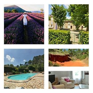 superbe appartement en résidence avec piscine dans le Luberon au pied du colorado provencal Rustrel Exterior photo