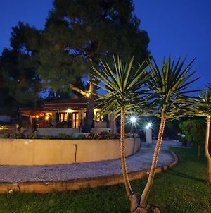 Skopelos Country House Diamantis & Chrisi Hotel Exterior photo