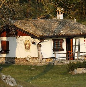 Baita Tana da l'Ors Villa Forgaria nel Friuli Exterior photo