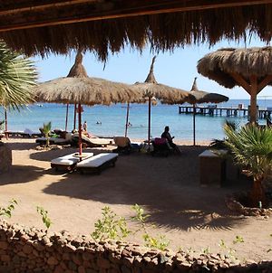 Sunshine Divers Club - Il Porto Bed and Breakfast Sharm el Sheikh Exterior photo