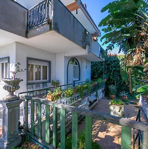 Ombretta Apartament - Happy Rentals Mascalucia Exterior photo
