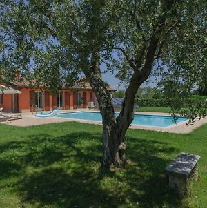 La Casina Apartment - con giardino e piscina Pozzolengo Exterior photo