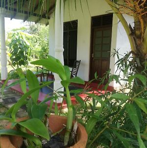Bay Hill Guest House Tangalle Exterior photo