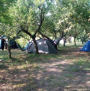 Holiday Park - Camping Near Venice Zelarino Exterior photo