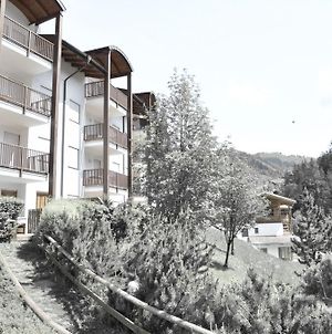 Residence Nagler - Belaval Apartments Badia  Exterior photo