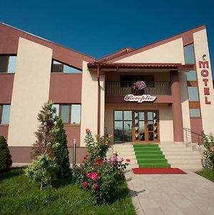 Hotel Levisticum Bacău Exterior photo