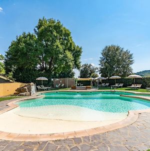Stunning Home In Scansano With Jacuzzi, Wifi And Outdoor Swimming Pool Exterior photo
