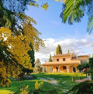 La Doganella Villa Pitigliano Exterior photo