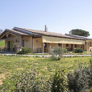 Agriturismo Casa Ricci Villa Magliano in Toscana Exterior photo