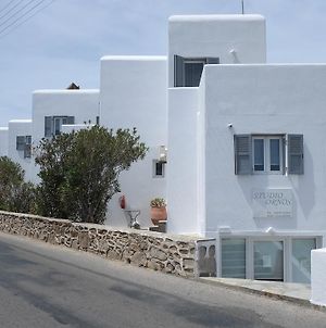 Studio Ornos Appartamento Città di Mykonos Exterior photo