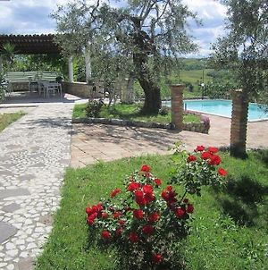 Exclusive Swimming Pool Villa Miglianico Exterior photo