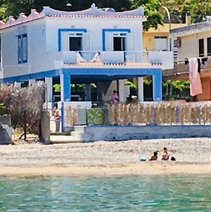 Villa GLORIA sulla spiaggia intero alloggio 15 minuti da Palermo animali ammessi piccola taglia Casteldaccia Exterior photo