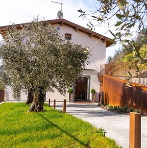 Il Pradicciolo Agriturismo Villa Castelnuovo Di Garfagnana Exterior photo