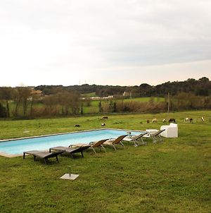 Mas Goy, casa rural con piscina Villa Girona Exterior photo